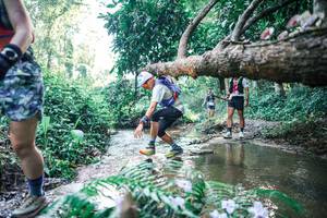 BIB: 
                            <button type="button" onclick="openModal(25442056)" class="btn btn-primary btn-sm float-right btn-popup" data-toggle="modal" data-target=".modal-high-quality">
                        <i class="fas fa-shopping-cart"></i> Add to Cart
                    </button>
                                            <button type="button" onclick="isThisMe(25442056, true)" class="btn btn-success btn-sm float-right btn-popup btn-isme hidden" data-toggle="tooltip" data-placement="bottom" title="นี่คือรูปของคุณใช่ไหม คลิกที่นี่เพื่อเอาเข้าอัลบั้ม">
                        <i class="fas fa-plus"></i> Add to album
                    </button>
                    <button type="button" onclick="isThisMe(25442056, false)" class="btn btn-warning btn-sm float-right btn-popup btn-isnotme hidden">
                        <i class="fas fa-ban"></i> Remove from album
                    </button>